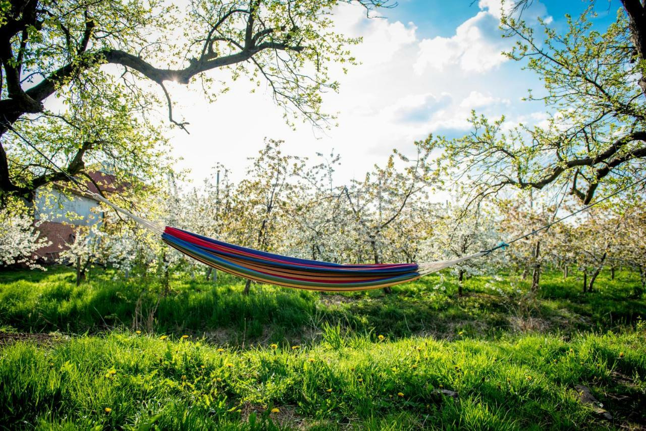 Deichkroenchen Ferienwohnung Altes Land Hamburg Jork Ngoại thất bức ảnh